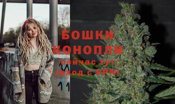 спайс Беломорск